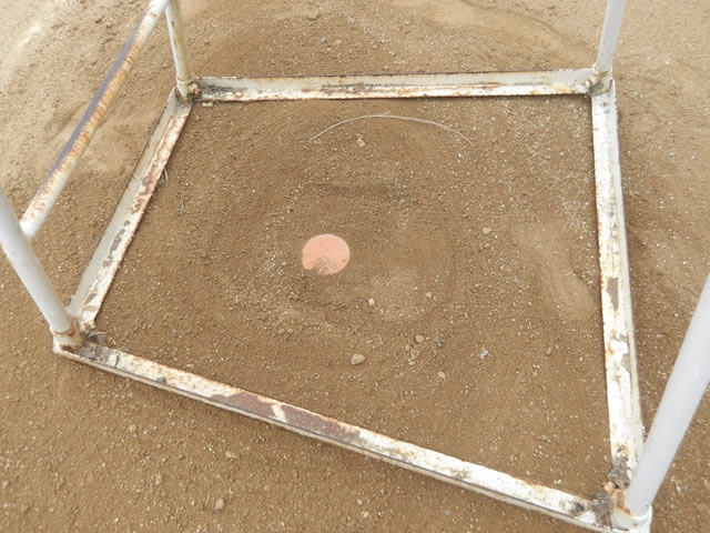 中学校
